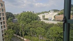 Hillview Heights (D23), Condominium #538813811